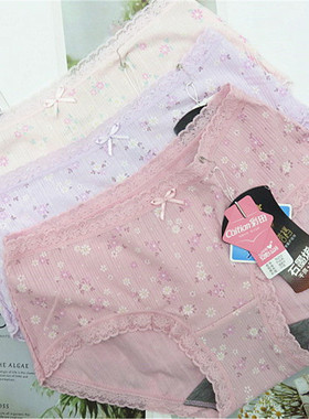 4条包邮彩田36213中腰平角裤石墨烯莫代尔棉面料清晰小碎花女内裤