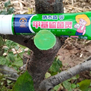 果树愈合剂伤口树干涂抹剂苹果剪口锯口环剥口愈合
