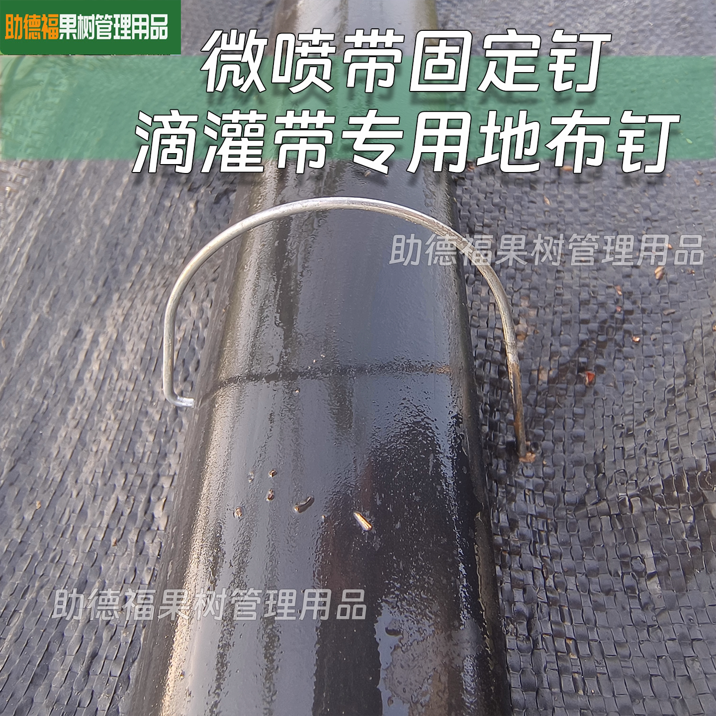 微喷带固定钉滴灌带专用地布钉微灌带固定卡子热镀钢丝制造厂家