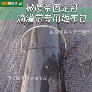 微喷带固定钉滴灌带专用地布钉微灌带固定卡子热镀钢丝制造厂家
