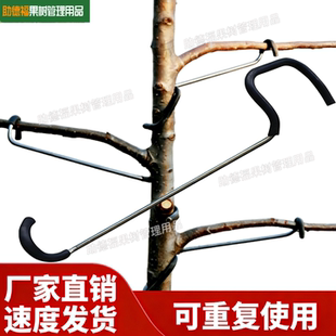 果树拉枝器改进型开角器压枝主干定型器别枝樱桃拨弯苹果拉枝神器