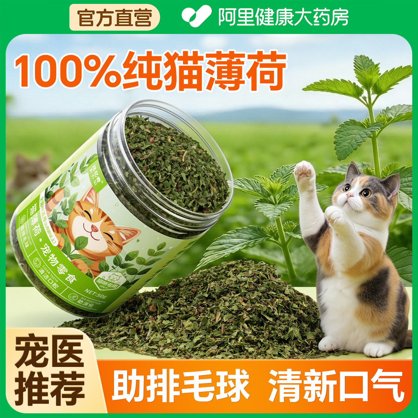 猫薄荷高纯度A级可食用粉末猫咪零食助吐毛球天然薄荷叶草快乐水,宠物/宠物食品及用品,猫薄荷/木天蓼,淘宝优惠券,粉丝福利购,淘宝优惠卷