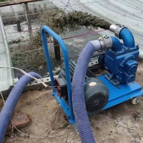 场吸粪泵专用强力污水泵排污抽粪泵猪粪自吸化粪池无堵塞德国品质