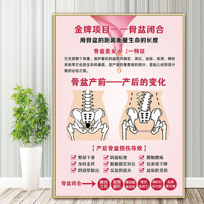 骨盆修复海报产后恢复中心装饰画