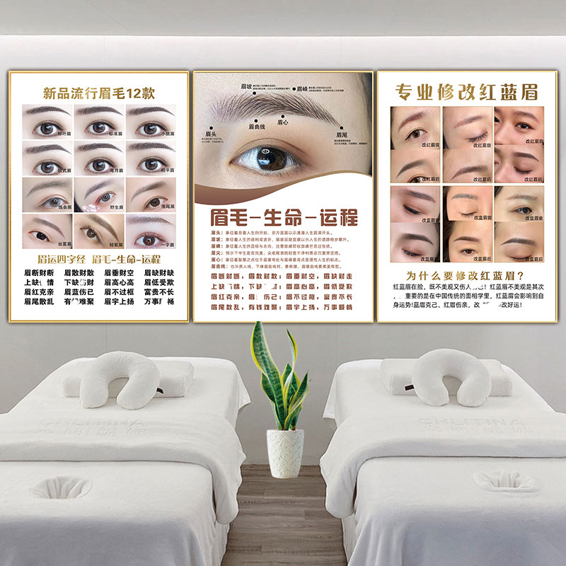 眉运四字经挂画纹绣海报眉形图眉眼唇美睫宣传画眉毛生命运程广告