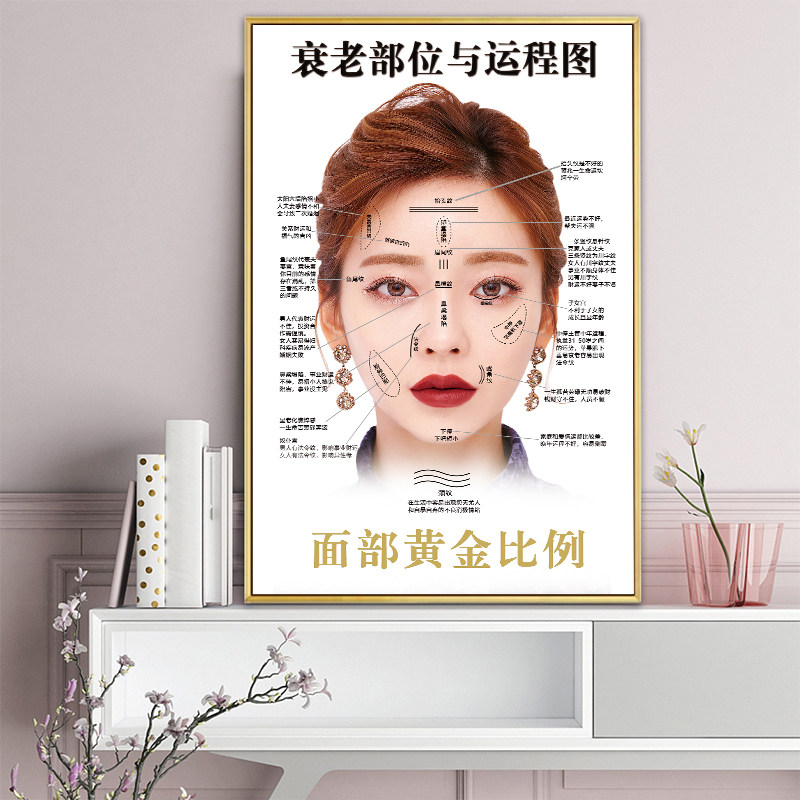 面部衰老部位运程图宣传海报定制美容院面部黄金比例风水除皱挂画