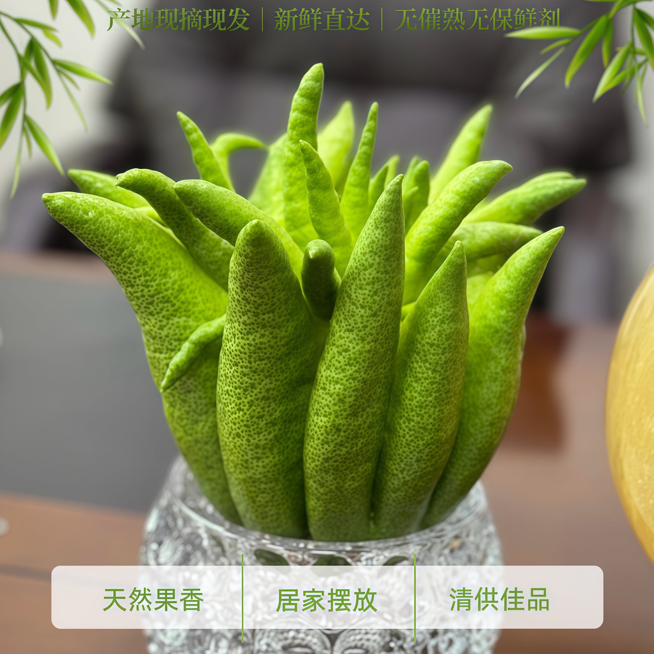 云南高山佛手柑一物一拍天然香茶台绿植摆件现摘新鲜佛手