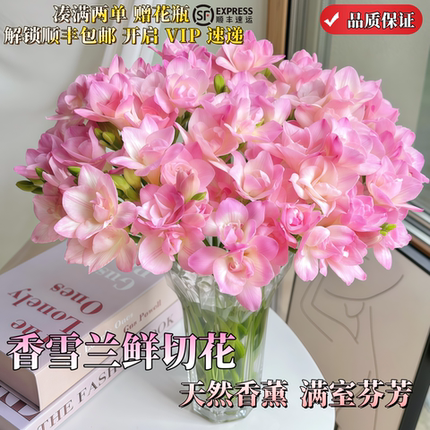 香雪兰粉色花束水培鲜花10枝装淡香办公室观赏花插花7天观赏期