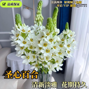 圣心百合鲜切花云南鲜花基地直发品质保证花期持久ins风格易成活