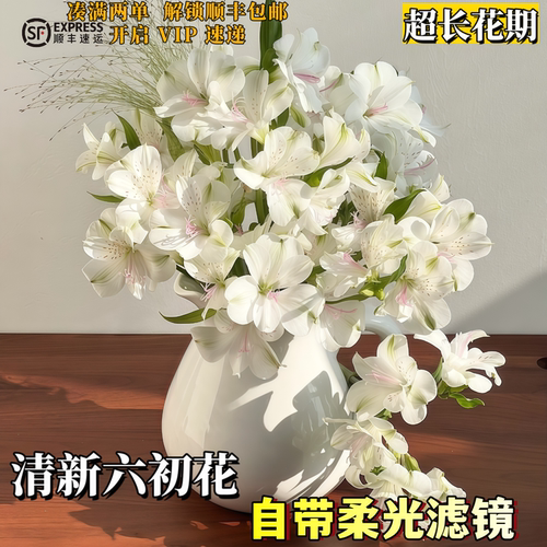 水仙百合六初花鲜花云南基地直发