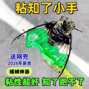 粘知了捕捉器小绿手捕蝉工具小手抓知了神器手掌胶状黏手圆球玩具