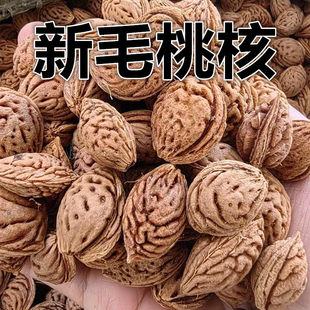 毛桃种子野毛桃树毛桃核种籽山桃山杏山樱桃嫁接红梅绿梅桃树砧木