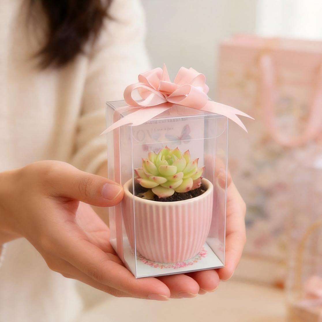 创意伴手礼盆栽教师节礼品多肉植物礼盒生日礼物学生活动女神节