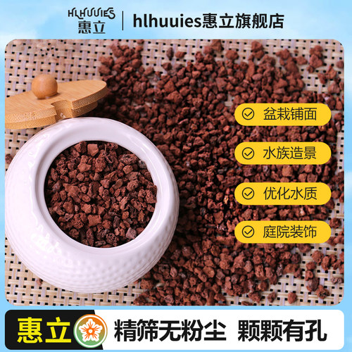 惠立天然火山岩多肉种植兰花鱼缸