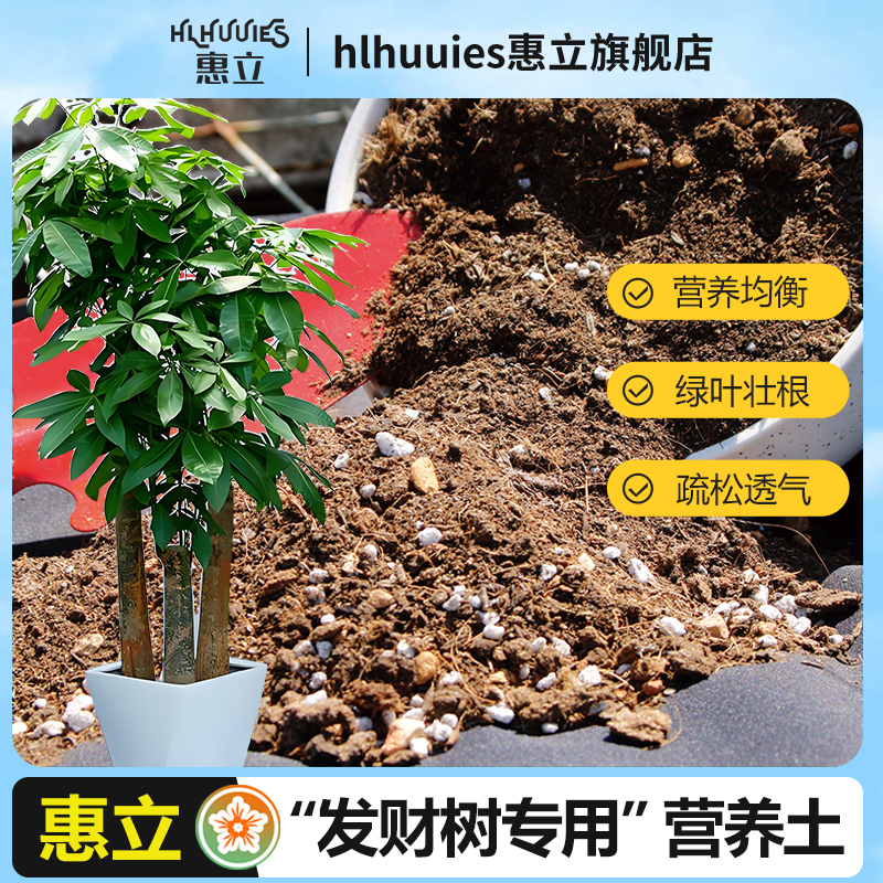 惠立发财树土壤透气种植家用