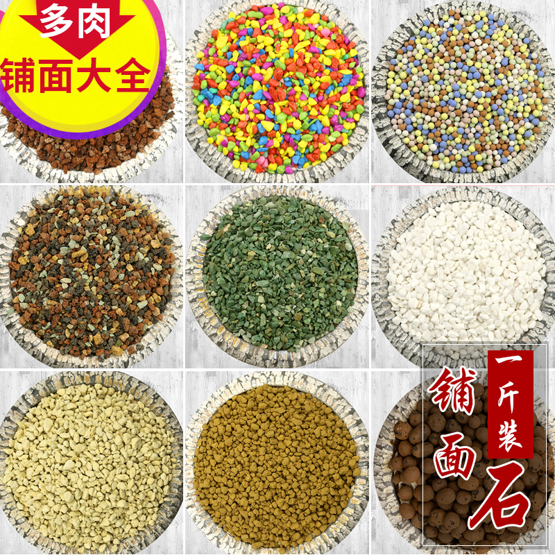 杨力讲饮食与营养