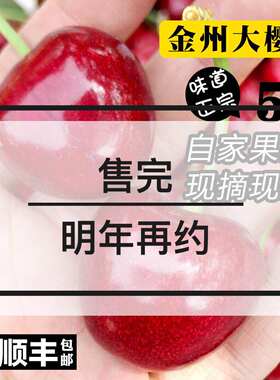 5斤大连大樱桃沙蜜豆美早新鲜甜