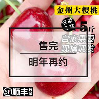 5斤大连大樱桃美早沙蜜豆托大果甜水果自家新鲜现摘现发顺丰包邮