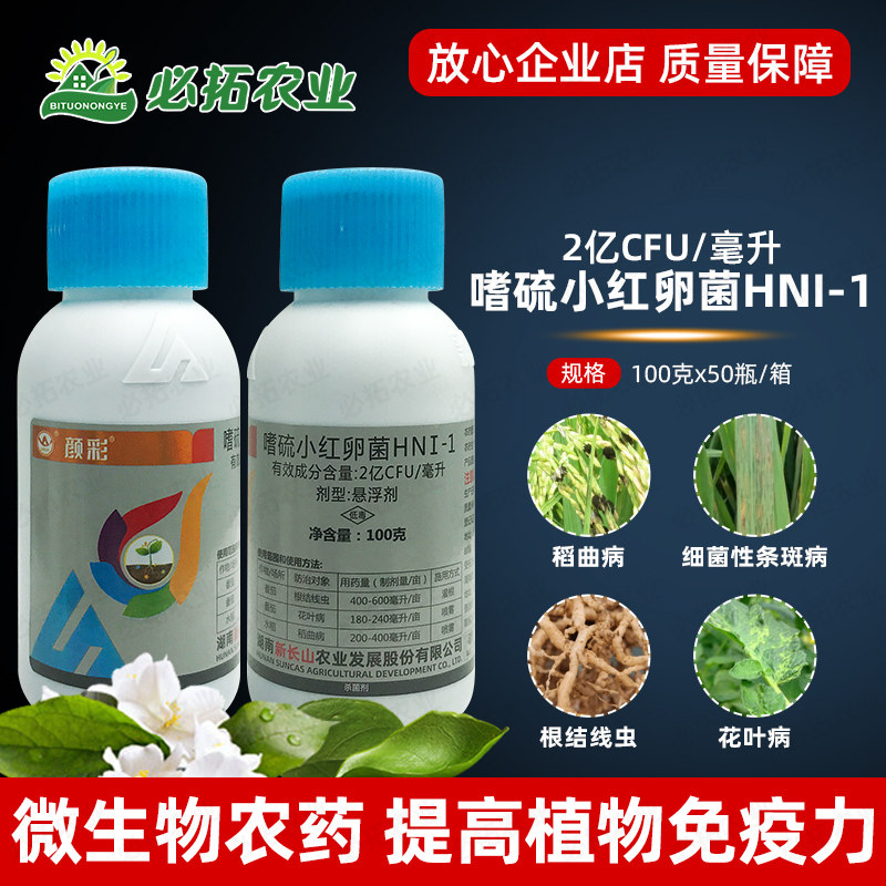 颜彩嗜硫小红卵菌水稻稻曲病花叶病杀菌剂西红柿番茄根结线虫农药