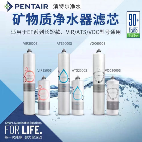 美国滨特尔净水器滤芯gevir1500