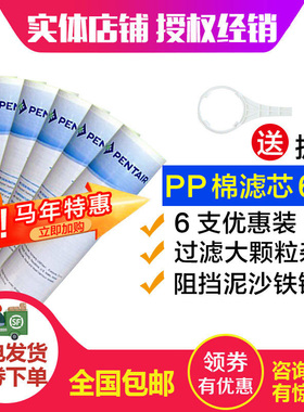 滨特尔爱惠浦净水器PP棉滤芯10寸过滤器前置5UM/1UM折纸芯0.45UM
