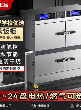 双门蒸饭柜商用电蒸箱大型24盘食堂煤燃气蒸饭车蒸饭机米饭蒸饭箱