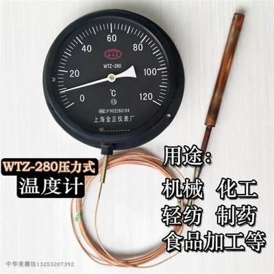 锅炉工业温度表油 指针温度计温浴室测水温ZWT压力280测水温表式