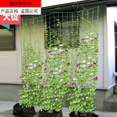 支架支柱园艺素材模板 支架支柱园艺图片下载 小麦优选