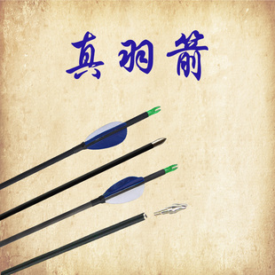 新款弓箭箭支真羽箭真羽纯碳箭真羽木箭训练练习真羽箭水滴羽箭羽