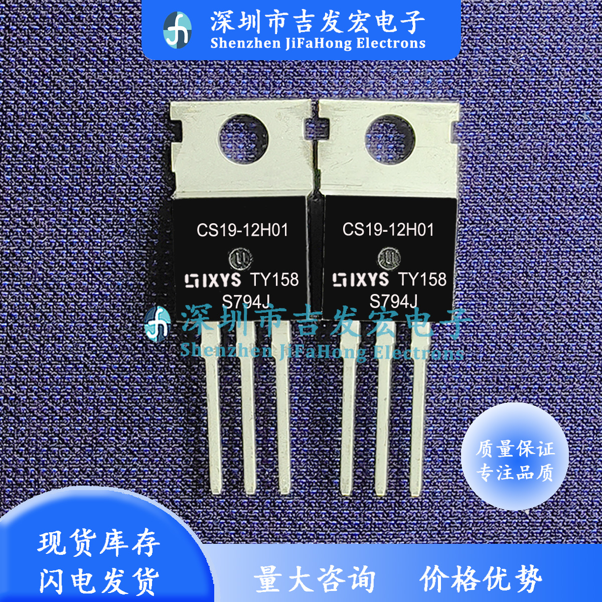 CS19-12H01 库存现货 TO-220 1200V 29A 极速发货