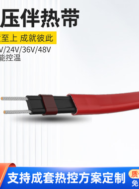 12/24V/36V/48V低压电伴热带