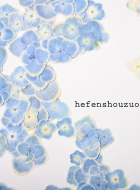 真花绣球压花风干家居相框摆件装饰小清新滴胶diy手工杯垫封入物