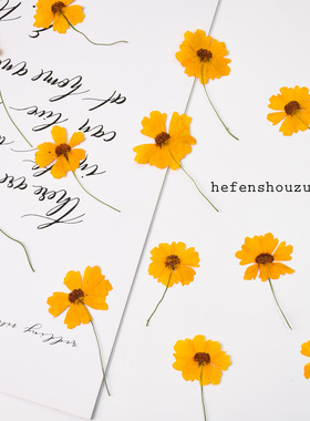 河粉手作带枝黄色蛇目菊真花压花素材滴胶diy杯垫模具少儿手工