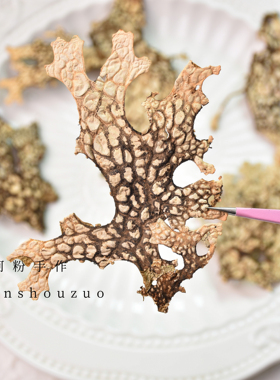 小众树皮真树叶压平真花压花