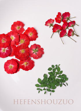 diy河粉手作月季杯垫干花真花