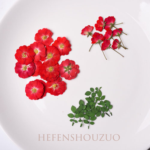 diy河粉手作月季杯垫干花真花