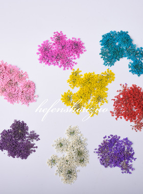 干花包干花包手工标本diy压花