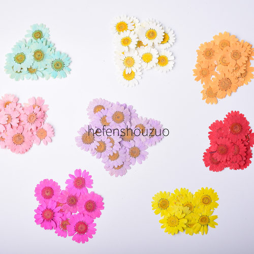 diy各色植物标本滴胶手机壳雏菊