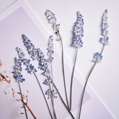 仿薰衣草干花鼠尾草干花相框DIY装 饰材料书签少儿手工香薰蜡烛