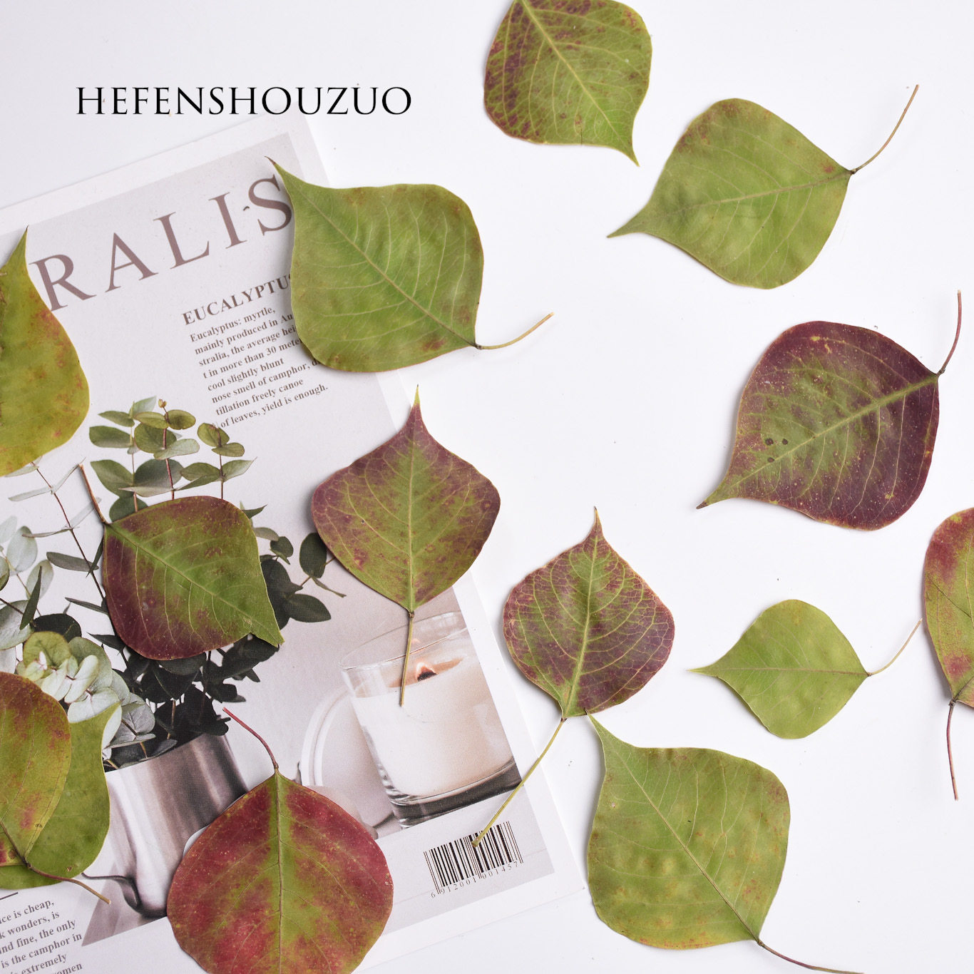 滴胶手机壳幼儿园标本永生花diy