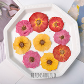 真花玫瑰多色干花天然装 饰diy滴胶杯垫客厅植物相框素材粉色压花