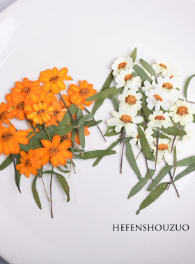 植物手工diy装饰diy压花