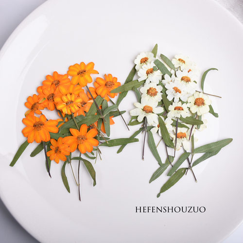 植物手工diy装饰diy压花
