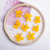 黄色蝴蝶花干花压花装 饰画香薰蜡烛封入物diy花卉儿童手工作业材