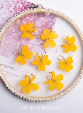 黄色蝴蝶花干花压花装饰画香薰蜡烛封入物diy花卉儿童手工作业材
