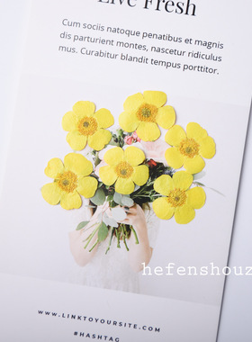 河粉手作 毛莨 染黄色真花压花 滴胶diy材料香薰蜡烛押花工艺画