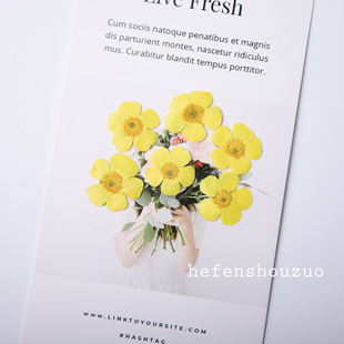 河粉手作 毛莨 染黄色真花压花 滴胶diy材料香薰蜡烛押花工艺画