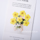 染黄色真花压花 河粉手作 毛莨 滴胶diy材料香薰蜡烛押花工艺画