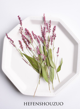 红草花真花压花辣廖植物标本ins滴胶杯垫材料diy幼儿园手工材料