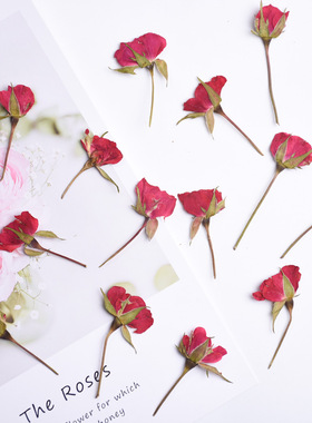 侧压带枝红色玫瑰花苞干花滴胶手机壳模具封入物火漆印章材料